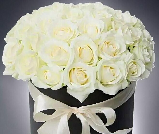  Белые розы в коробке <span style="font-style: italic;"></span>