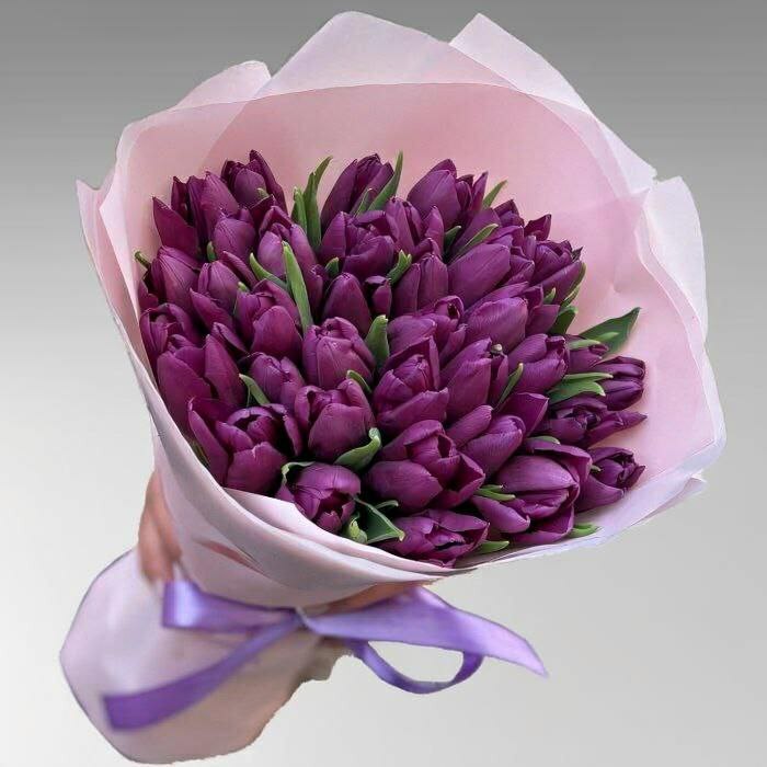 Лавандовые тюльпаны <span style="font-style: italic;"></span>